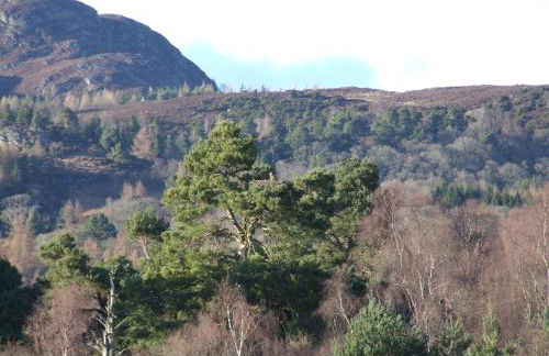 Kinloch House Hotel - Foto 13