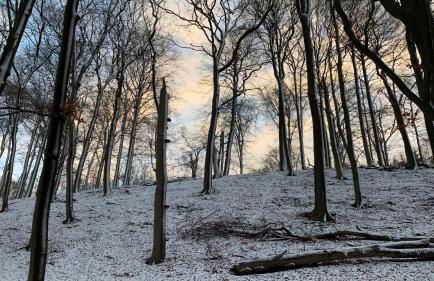 Ruhiges Ferienhaus Wandlitz - Foto 27