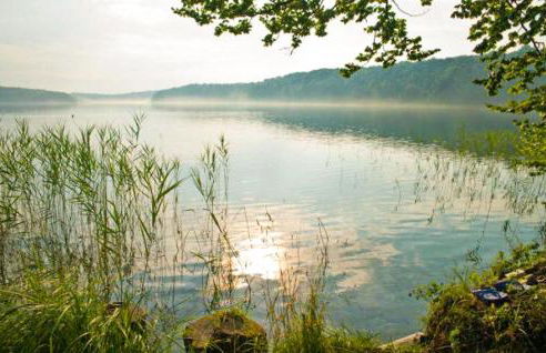 2 Bedroom Gorgeous Home In Stechlin - Foto 20