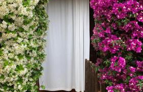 Lulamax Sardegna - Foto 77