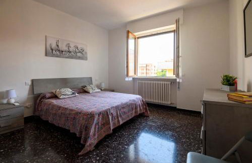 Chiwi's Home 2 - Photo 1