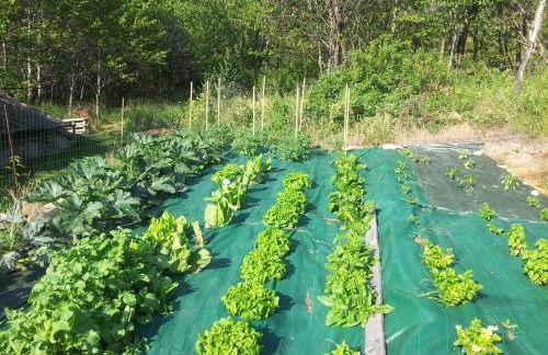 Vieilles Maisons D'Introd - Foto 38