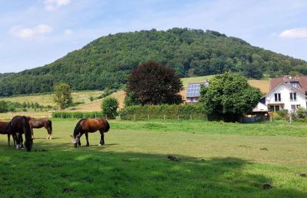 Ferienwohnung MW 1b 82m2 Höxter Weserbergland Weser inkl 2 Terrassen Wäsche und Endreinigung Self CheckIn - Foto 6