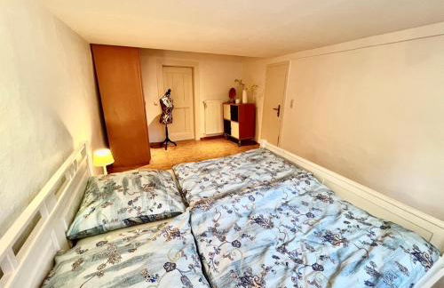 Die kleine Villa OLEFant im historischen Ortskern von Schleiden-Olef - Foto 28