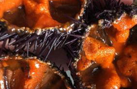 Casa Pagani - Foto 21