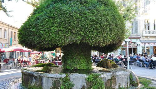 La PAUSE Salonaise "au coeur de la ville" - Foto 3