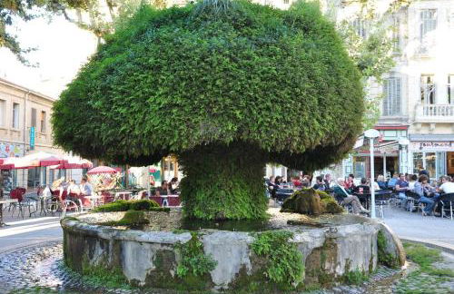 La PAUSE Salonaise "au coeur de la ville" - Foto 3