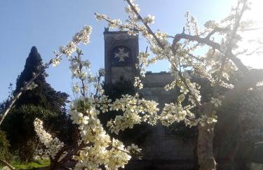 Agriturismo Teatro del grano - Foto 1