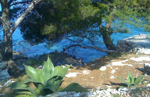 Apartments Misini Dvori - Foto 27