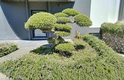 Villa Bonsai - Foto 86