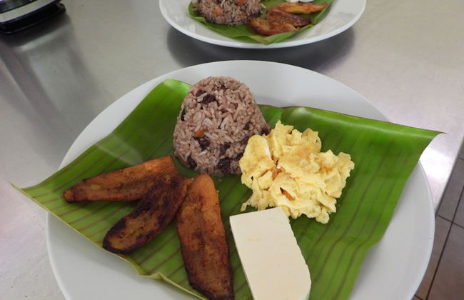 Esquipulas Rainforest - Foto 28