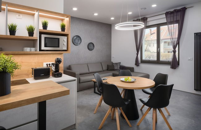 Vila Emona - Central Apartments - Free Parking - Photo 38