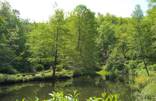 Gîte en bord d'étang et de rivière - Foto 21