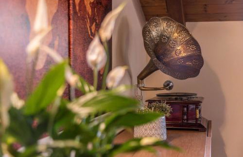 Maison Vittoria Lago Maggiore - Foto 14