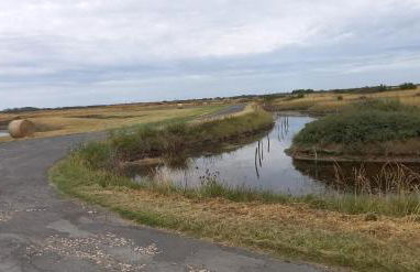 En plein cœur de l’Île d'Oléron, suite parentale. - Foto 21