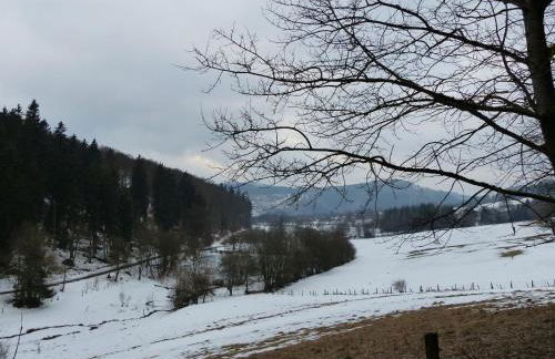 Apartment mit privatem Balkon by Interhome - Photo 31