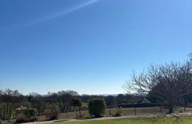 Dolmans Retreat - Photo 20