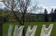 Agroturystyka Jak Makiem Zasiał Dworki 10 - Foto 77