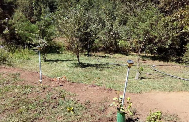 Cabañas El Rincón De La Paito La Placeta - Foto 23