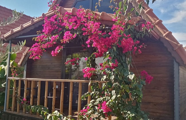 Riviera Bungalow Evleri Demre - Photo 52