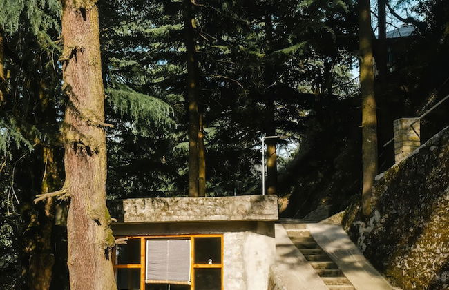 BluSalzz Villas - The Pine Tree, Dalhousie - Himachal Pradesh - Foto 37