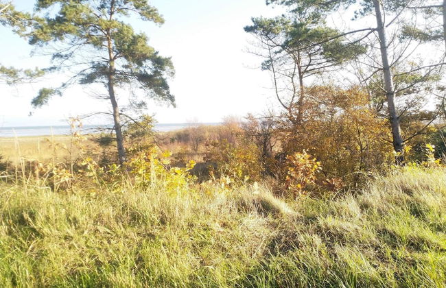 8 Person Holiday Home in Hadsund-by Traum - Photo 5