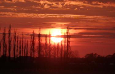 Haus Sturmschwalbe - Foto 31