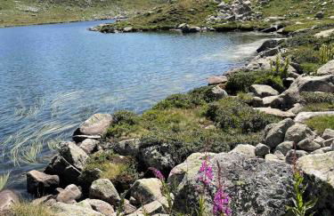 Ochalet Bagergue - Foto 42