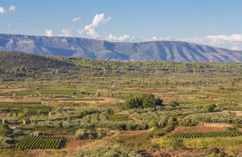 Revelin Hvar - Photo 57