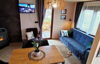 Domki Bieszczadzki Czar Rodzinny 661-850-410 - Photo 37