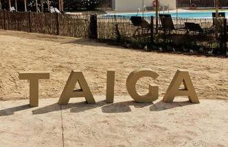 Taiga Almeria Playa - Photo 34