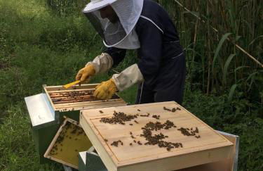 Casa Baldoni - Foto 33