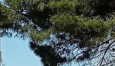 La casa di Lilia - Foto 5