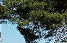 La casa di Lilia - Foto 5