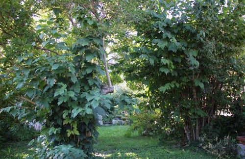 VILLA ADRY Aosta Sarre Your freedom - Foto 50