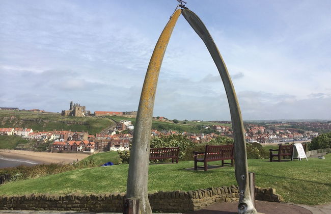 Rawcliffe House Farm - Foto 54