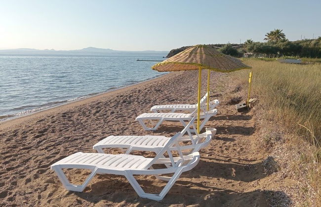 Zeus kır evi - Photo 71