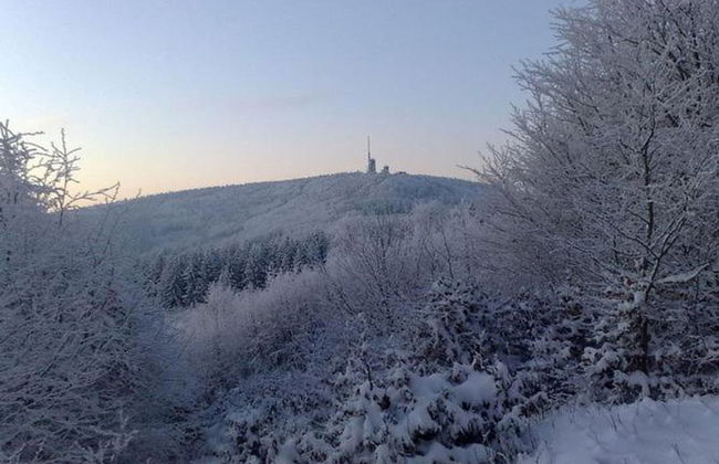 Meadow View Cottage in Winterstein Thuringia near Ski Area - Foto 28