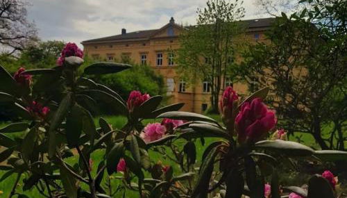 Schloss Tressow - Foto 3