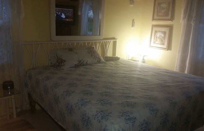 Palm Cove - 2 Bedroom Cottage - Photo 3