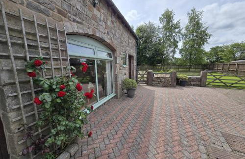 The Roaches - Foto 22