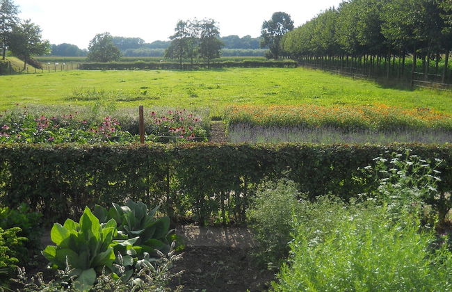 Authentic Mansion in Deil near Lake - Foto 57