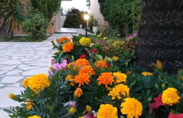 Lena Studios - Foto 23