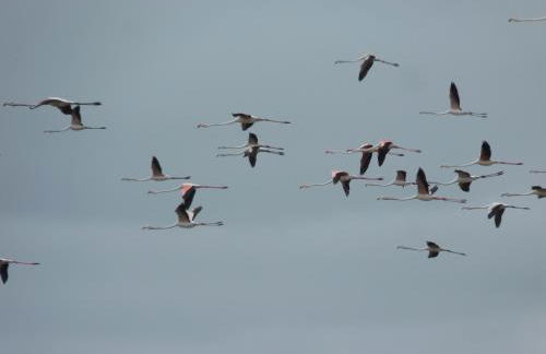 TangoSierraResidences - Foto 46