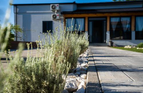 Palomino house - Foto 45