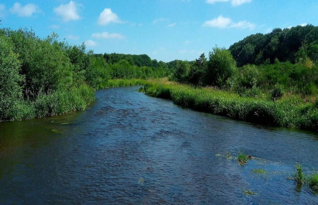 4 Person Holiday Home in Ansager-by Traum - Foto 33