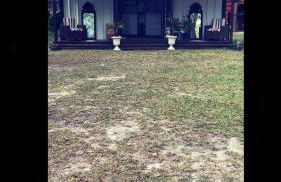 Neals Nest Cozy Cabin - Foto 9