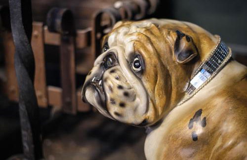 Luxury Rock & Roll Suite in Manor House - Foto 20