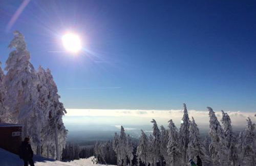 Ferienhaus Thale - Foto 47
