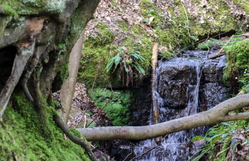 Ghyll Park Farm - Foto 44